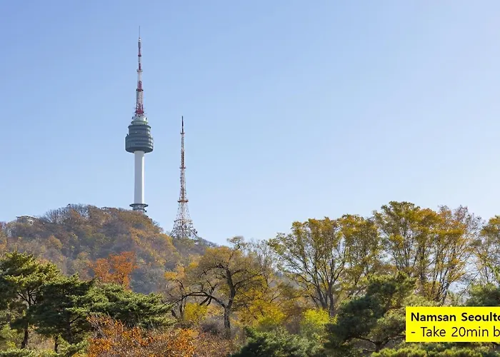 Min's 2 동대문ddp 도보5분 '단독공간 전체 이용' 명동 광화문 홍대 광장시장 한남동 성수 Seúl