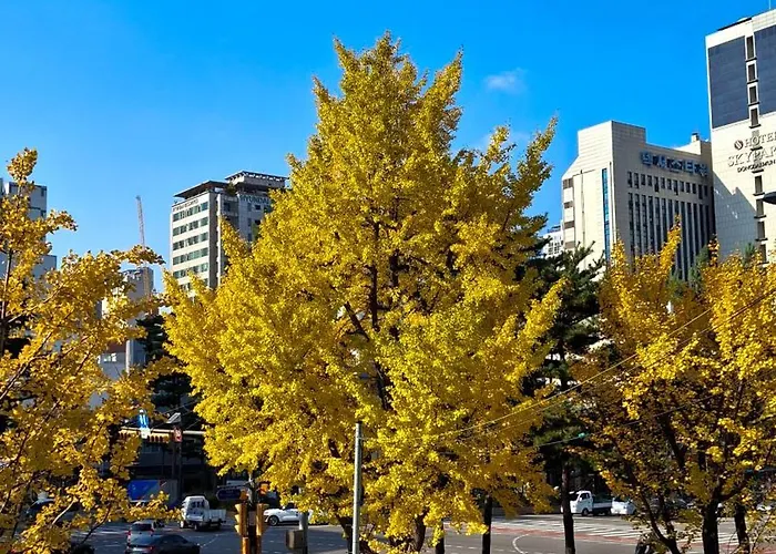 Min's 2 동대문ddp 도보5분 '단독공간 전체 이용' 명동 광화문 홍대 광장시장 한남동 성수 Seúl
